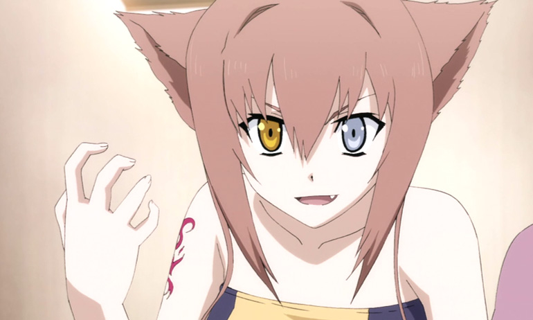 Suka Neko-Girl? Mungkin Kamu Juga Bakal Suka Sama Karakter Anime 