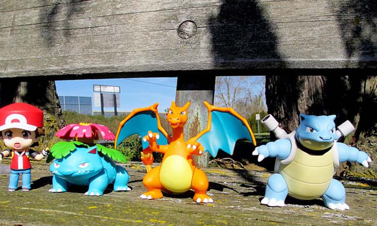 Dunia Pokemon Kwikku, Dunia Pokemon