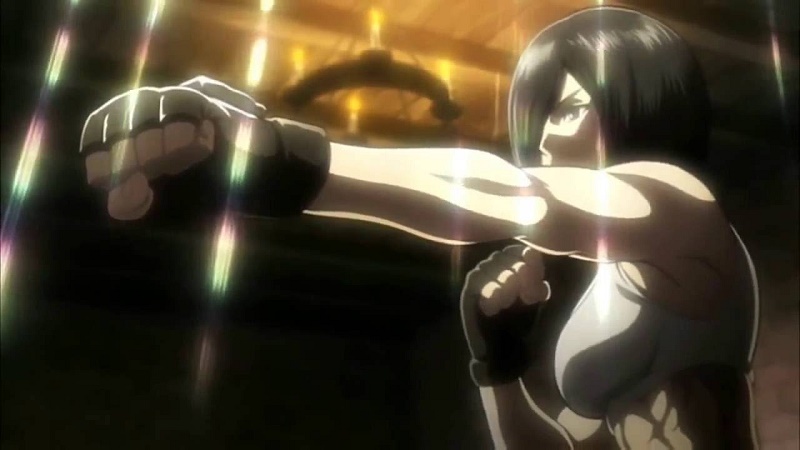 Mikasa Kwikku, Mikasa