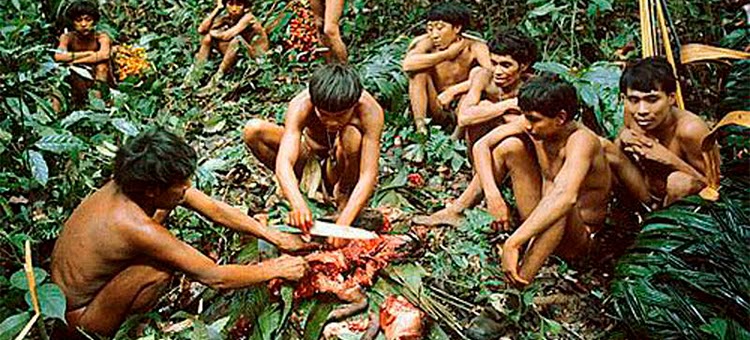 Ritual Endocannibalism di Papua Nugini Kwikku, Ritual Endocannibalism di Papua Nugini