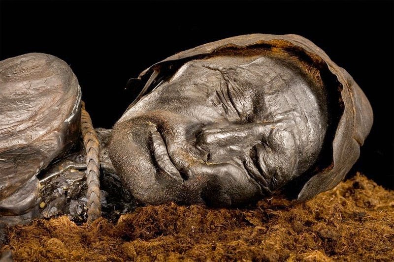 Tollund Man Silkeborg Museum Denmark Kwikku, Tollund Man Silkeborg Museum Denmark
