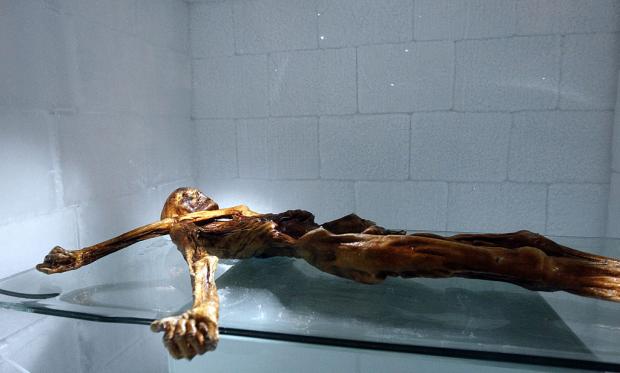 Otzi Museum Arkeologi Bolzano Italia Kwikku, Otzi Museum Arkeologi Bolzano Italia