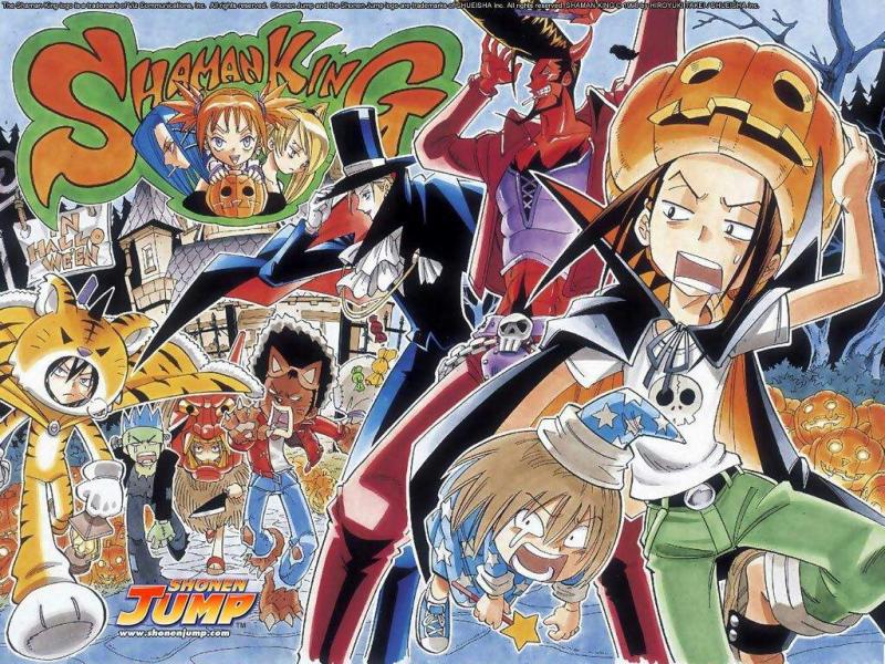 Shaman King Kwikku, Shaman King