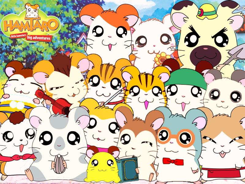 Hamtaro Kwikku, Hamtaro