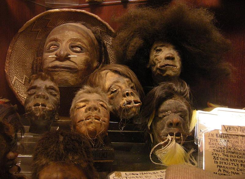 Suku Shuar di Peru dan Ekuador Kwikku, Suku Shuar di Peru dan Ekuador