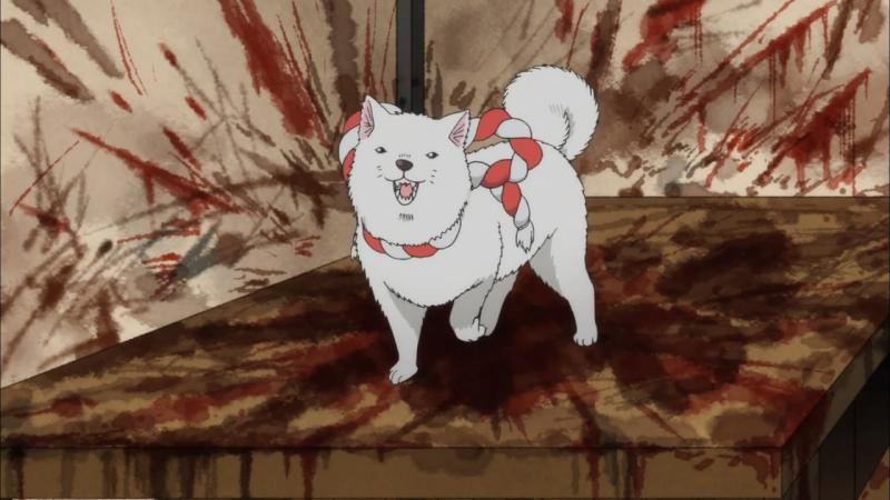 Shiro Kwikku, Shiro