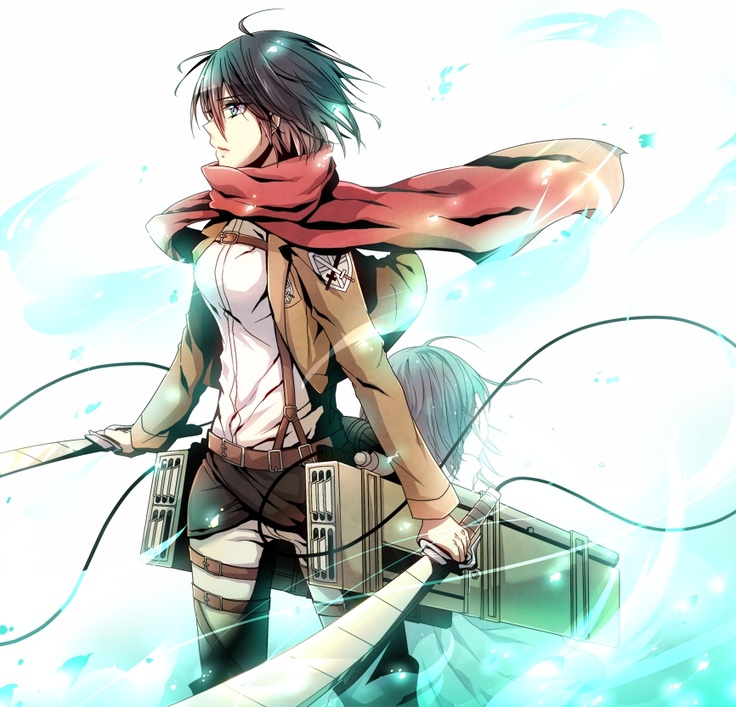 Mikasa Ackerman Kwikku, Mikasa Ackerman