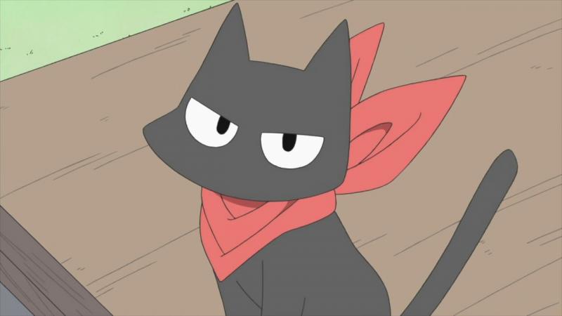Sakamotosan Kwikku, Sakamotosan