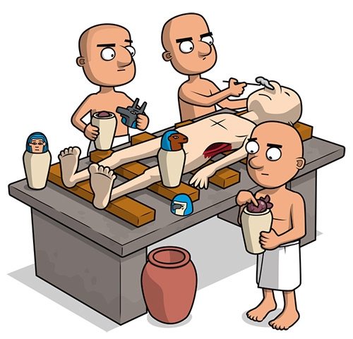 Kemudian Keluarkan Organ Dalam Tubuh Kwikku, Kemudian Keluarkan Organ Dalam Tubuh