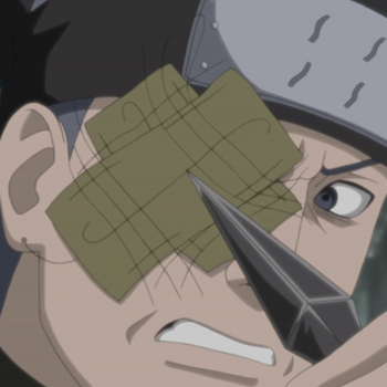 Kekkaifu Gansoukou Kwikku, Kekkaifu Gansoukou