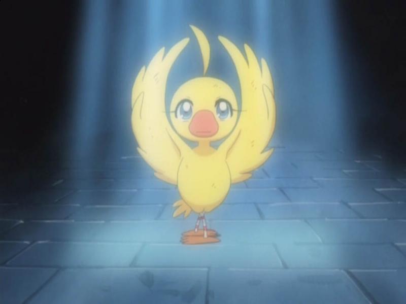 Ahiru dari Princess Tutu Kwikku, Ahiru dari Princess Tutu