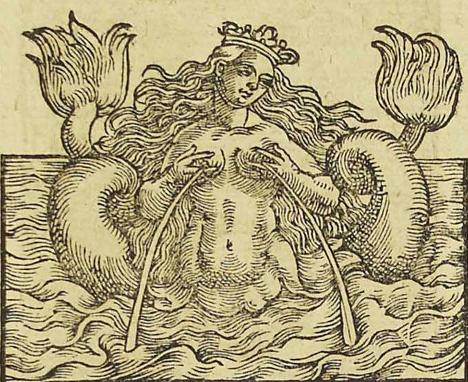 Melusine Kwikku, Melusine