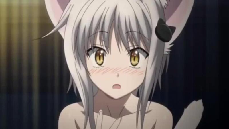 Koneko Toujou Kwikku, Koneko Toujou