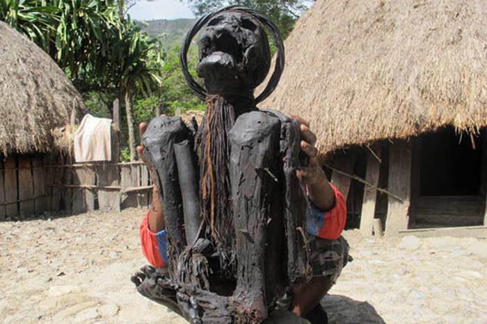 Mumi Suku Dani di Papua Kwikku, Mumi Suku Dani di Papua