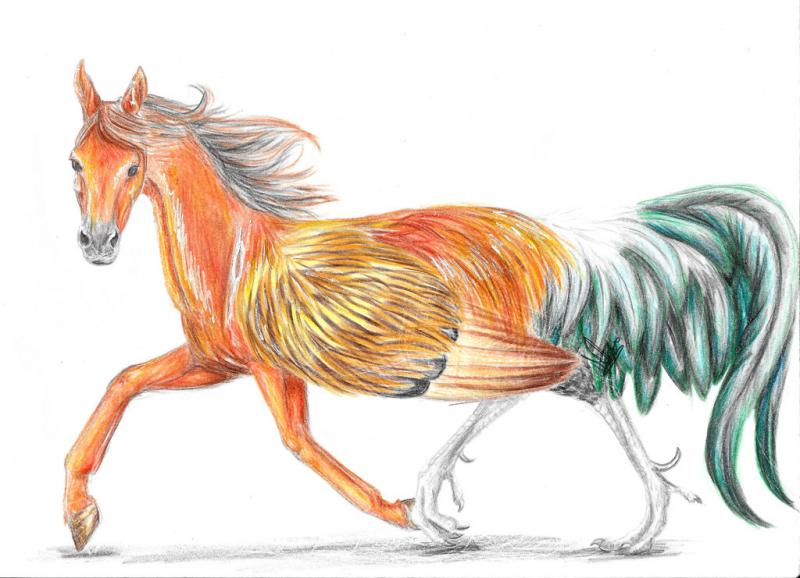 Hippalectryon Kwikku, Hippalectryon