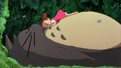 Totoro Kwikku, Totoro