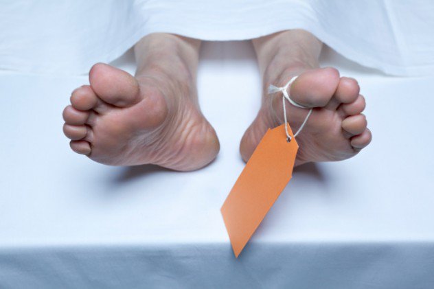 Sekte Menambah Umur Kwikku, Sekte Menambah Umur