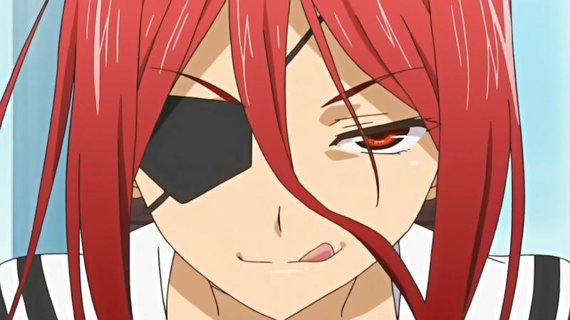 Arashi Nikaidou Kwikku, Arashi Nikaidou