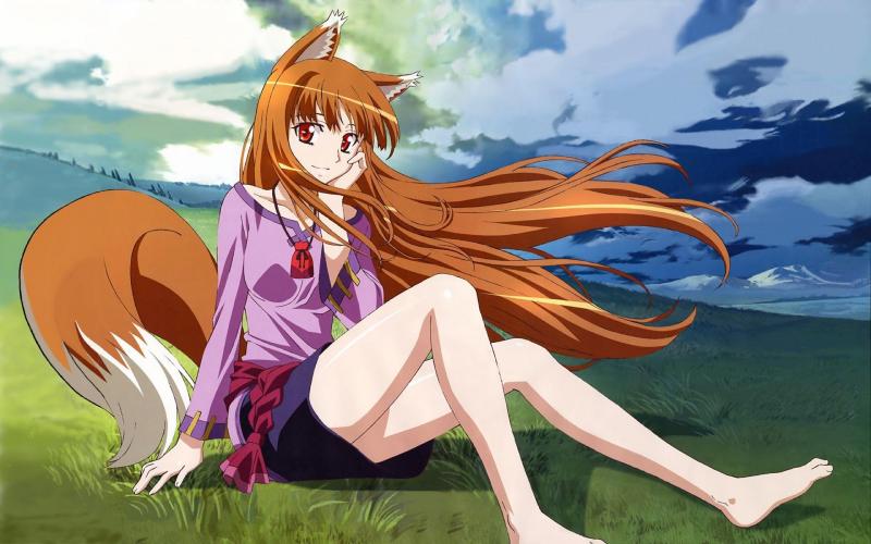 Holo Kwikku, Holo