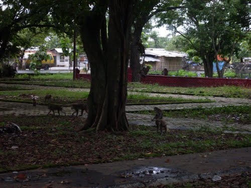 Situs Buyut Banjar Kwikku, Situs Buyut Banjar