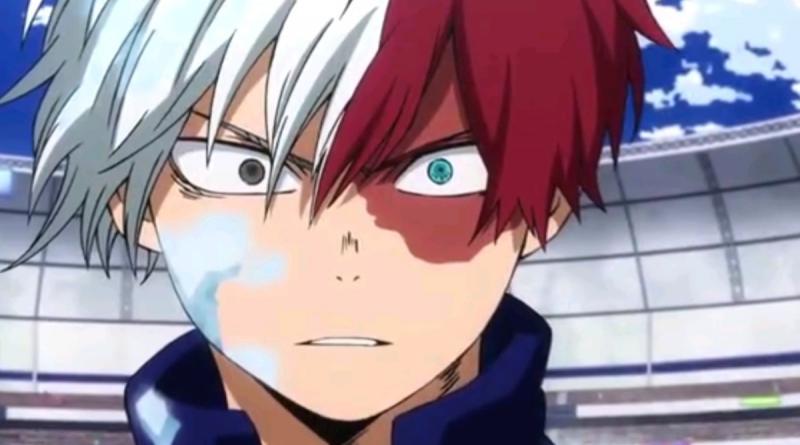 Shoto Todoroki Kwikku, Shoto Todoroki