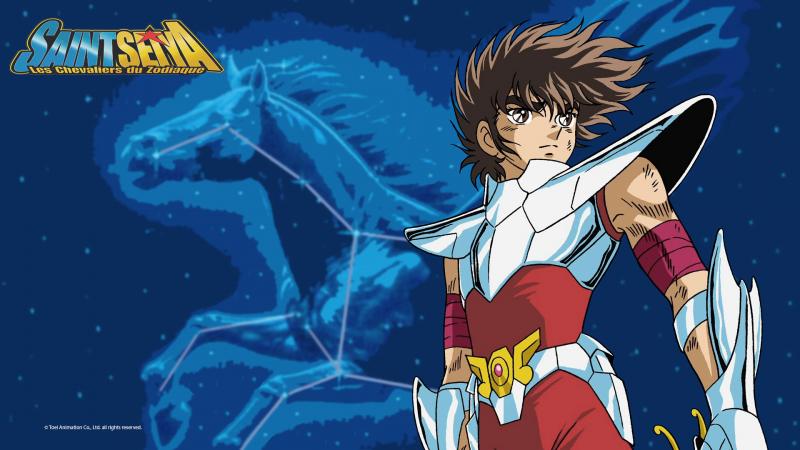 Seiya Pegasus Kwikku, Seiya Pegasus