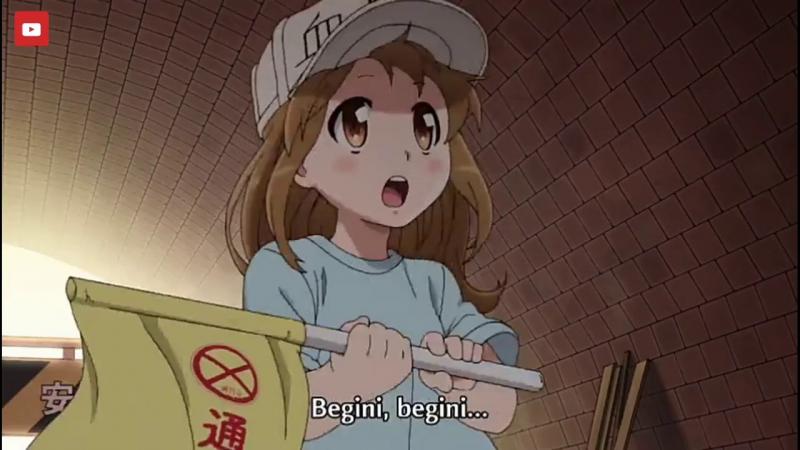 PlateletChan Kwikku, PlateletChan