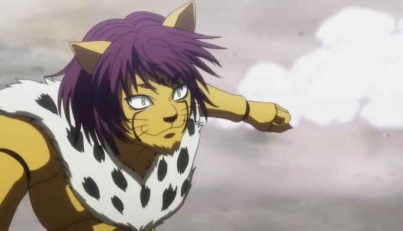 Cheetu dari Hunter x Hunter Kwikku, Cheetu dari Hunter x Hunter