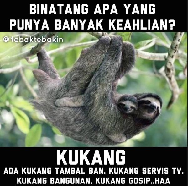 Binatang apa yang punya banyak keahlian Tukang woi tukaaaang Kwikku, Binatang apa yang punya banyak keahlian Tukang woi tukaaaang