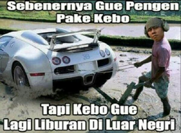 Membajak sawah menggunakan teknologi bermotor mungkin sudah tidak asing lagi tapi gimana ceritanya kalo seperti gambar di bawah ini guys Kwikku, Membajak sawah menggunakan teknologi bermotor mungkin sudah tidak asing lagi tapi gimana ceritanya kalo seperti gambar di bawah ini guys