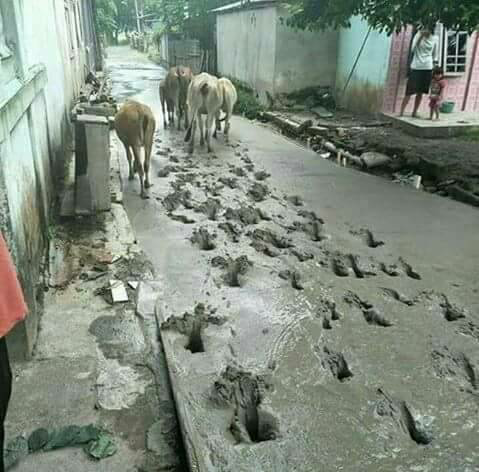 Apa yang akan kamu katakan kalo kamu ketimpa kejadian seperti ini Kwikku, Apa yang akan kamu katakan kalo kamu ketimpa kejadian seperti ini