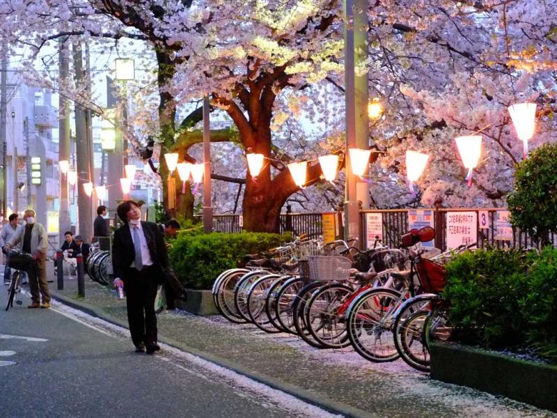 Jepang Kwikku, Jepang
