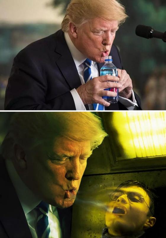 Donal Trumph Kwikku, Donal Trumph
