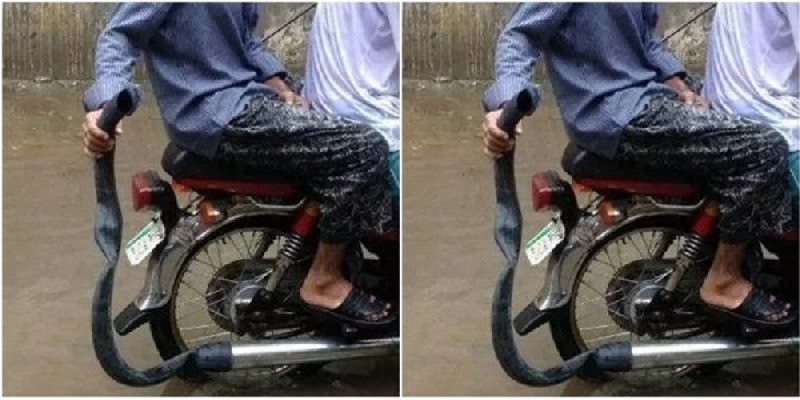 Motor Anti Tegang Kwikku, Motor Anti Tegang
