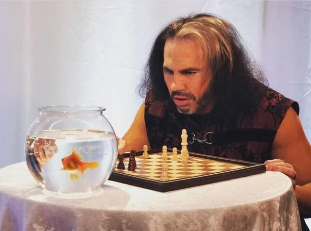 Si om ngapain sih Kenapa dia main catur sama ikan kan itu aneh banget Kwikku, Si om ngapain sih Kenapa dia main catur sama ikan kan itu aneh banget