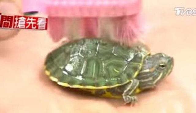 Pekerjaan remeh ini di gajih berlipatlipat Kwikku, Pekerjaan remeh ini di gajih berlipatlipat