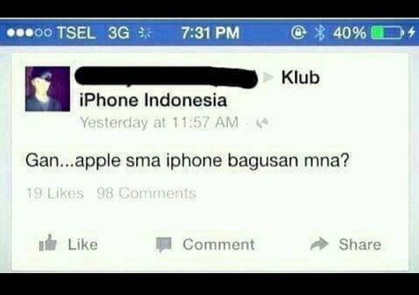 Sepintar itukah dirimu Kwikku, Sepintar itukah dirimu