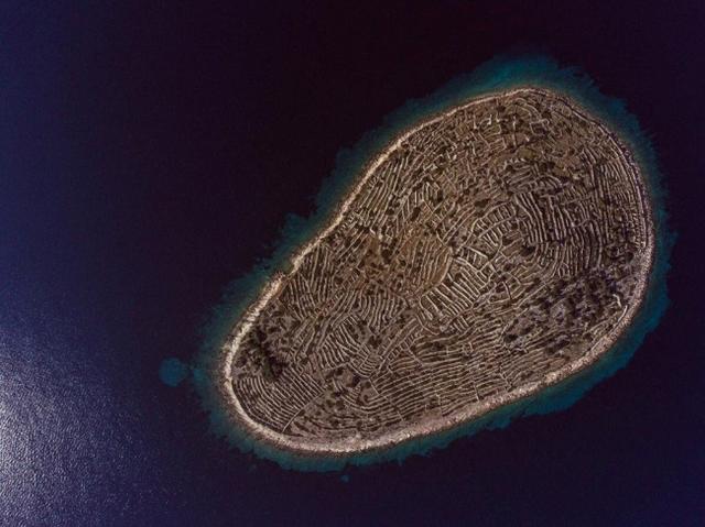Pulau itu nampak seperti sidik jari manusia Kwikku, Pulau itu nampak seperti sidik jari manusia