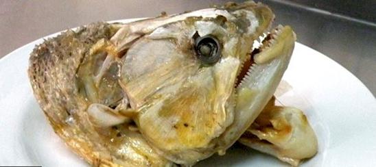 Kepala ikan goreng yang menyeramkan Kwikku, Kepala ikan goreng yang menyeramkan