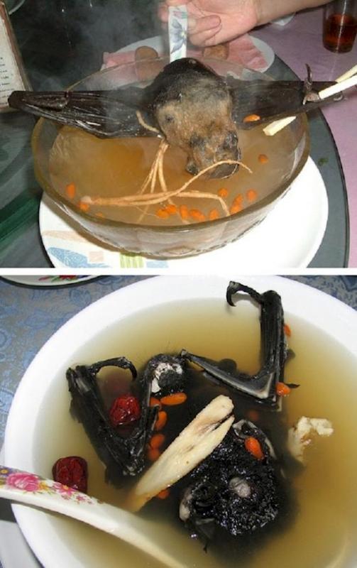 Sup kelalawar raksasa Kwikku, Sup kelalawar raksasa