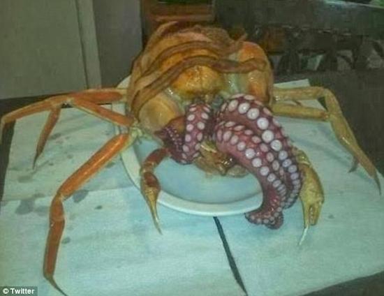 Makanan ini sangat mengerikan Ada yang mau makan Kwikku, Makanan ini sangat mengerikan Ada yang mau makan