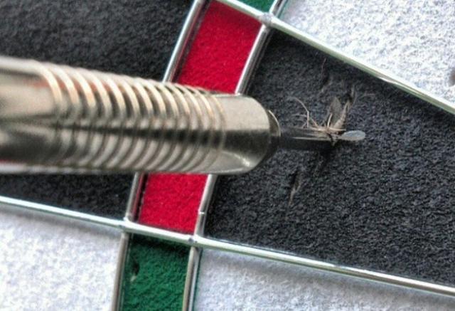 Ketika melempar darts gak nyangka bisa setepat ini mengenai nyamuk yang tengah terbang Kwikku, Ketika melempar darts gak nyangka bisa setepat ini mengenai nyamuk yang tengah terbang