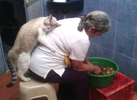 Si empus kayaknya sayang banget sama majikannya Kwikku, Si empus kayaknya sayang banget sama majikannya