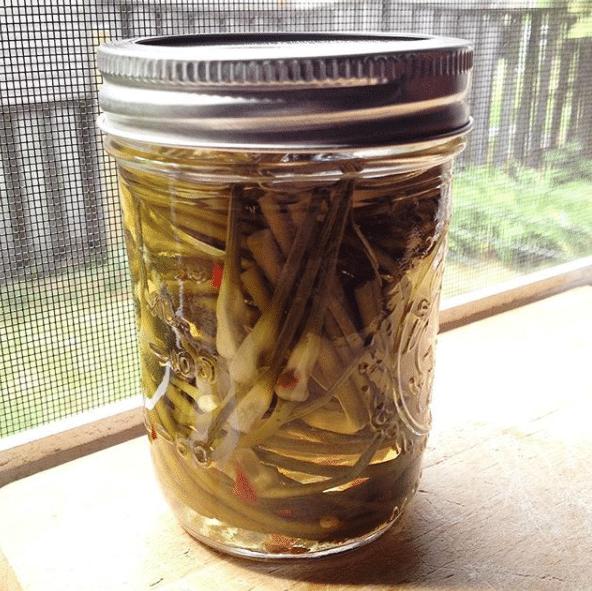 Dari pada di buang mendingan kalian buat sayursayur sisa menjadi acar yang sebentar bisa kalian konsumsi Kwikku, Dari pada di buang mendingan kalian buat sayursayur sisa menjadi acar yang sebentar bisa kalian konsumsi