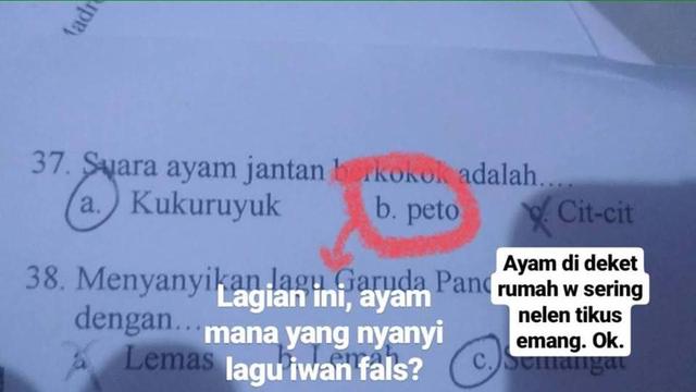Itumah anak ayam yang bunyinya kayak gitu Kwikku, Itumah anak ayam yang bunyinya kayak gitu