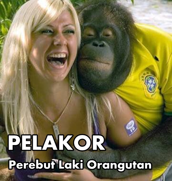 Mungkin ini adalah pelakor yang sebenarnya Kwikku, Mungkin ini adalah pelakor yang sebenarnya