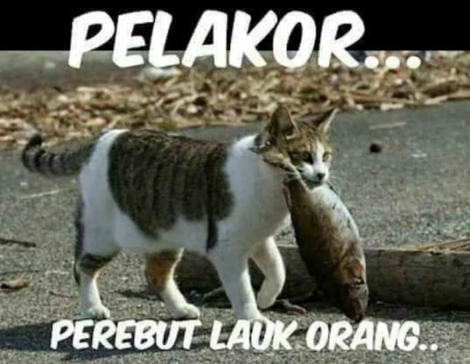 Kalau masih ragu bisa saja ini adalah singkatan pelakor yang sebenarnya wkwkwkwk Kwikku, Kalau masih ragu bisa saja ini adalah singkatan pelakor yang sebenarnya wkwkwkwk