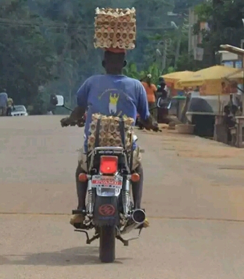 Waduh gimana nanti kalau pecah semua telurnya Kwikku, Waduh gimana nanti kalau pecah semua telurnya