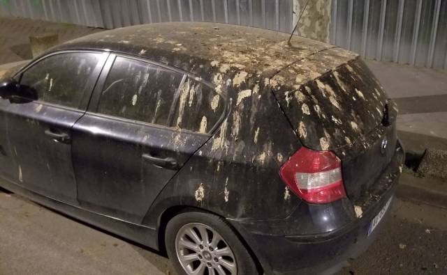 Baru aja di cuci Tetapi karena salah pilih tempat parkir hal ini menjadi tak bisa di hindari lagi Kwikku, Baru aja di cuci Tetapi karena salah pilih tempat parkir hal ini menjadi tak bisa di hindari lagi