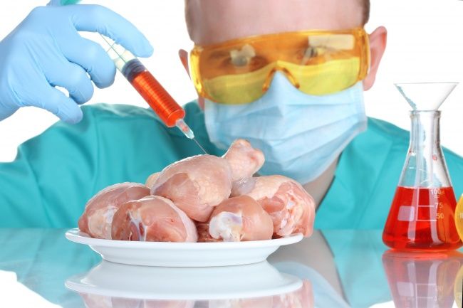 Daging Sintetis atau Daging Laboraturium Kwikku, Daging Sintetis atau Daging Laboraturium